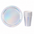 9inch Plates-Cups